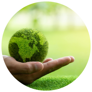 Our products are environmentally sustainable