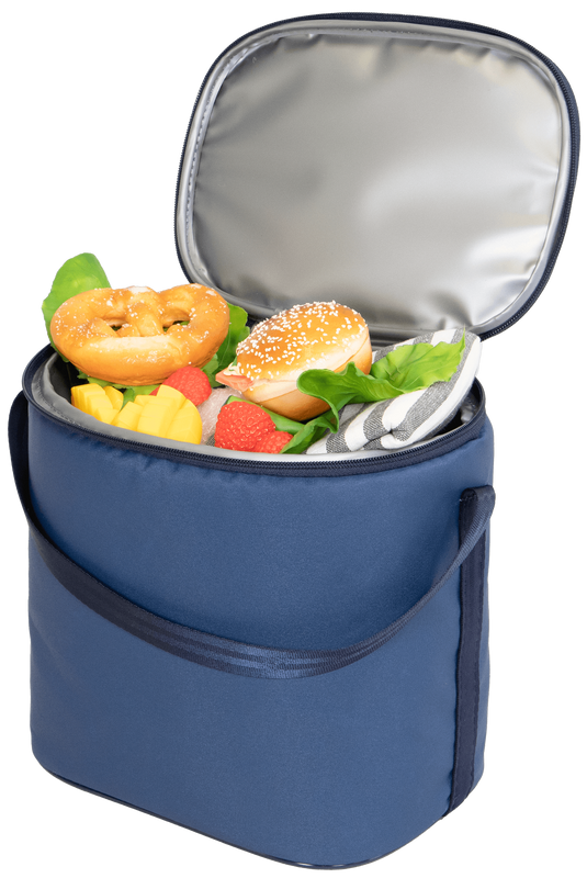 6 Can Cooler